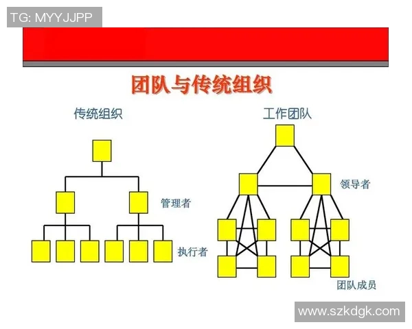 深圳乒乓球队在世界锦标赛中的团队协作表现与战术分析