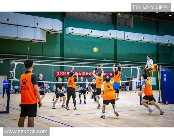 聚焦排球：探讨北京排球队在战术灵活性上的创新与发展