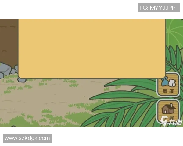 西安排球队战术解析：总决赛中的表现与策略评估