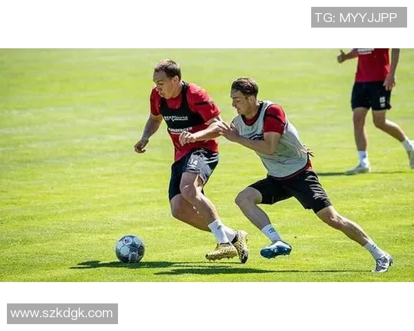 德国与韩国足球对决的竞彩彩票分析与投注策略探讨