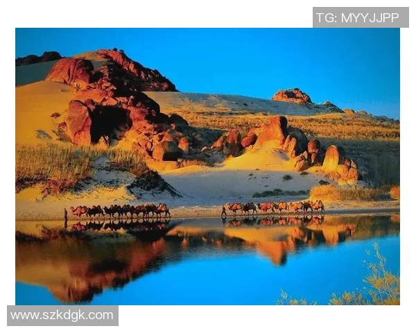 探索埃斯特旺的魅力与文化底蕴揭示这座城市的独特风情与历史传承