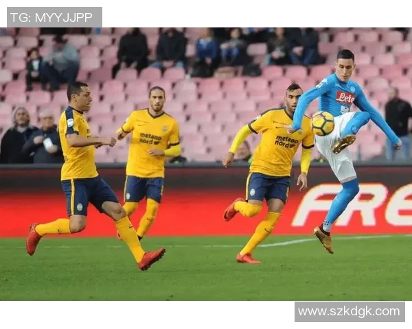 布里斯班与珀斯比赛前瞻分析及胜负预测详解