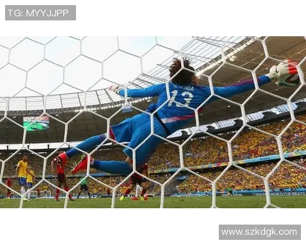 2018年国际塞法国与意大利激战回顾与精彩瞬间分析 2018年国际塞法国与意大利激战回顾与精彩瞬间分析