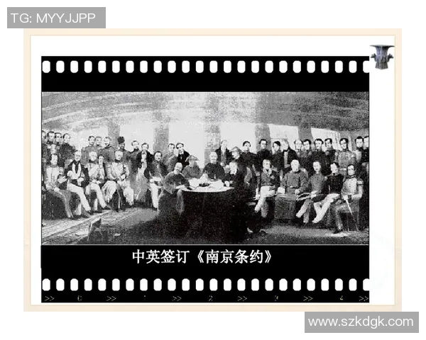南京排球队实力解析：从历史成就到未来展望的全面探讨