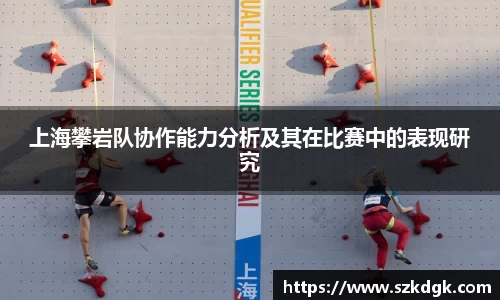 3377体育官网