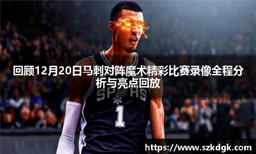 3377体育