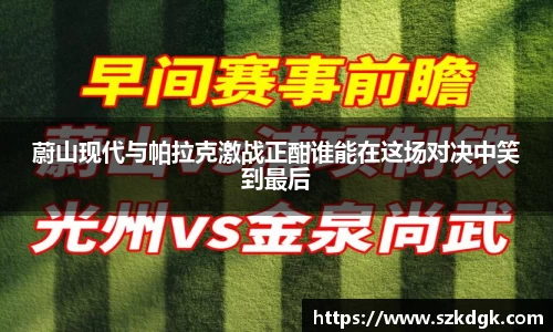 3377体育官网