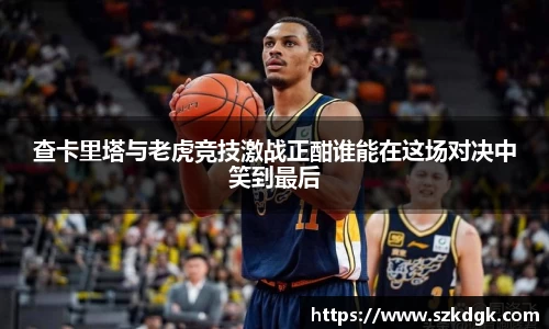 3377体育官网